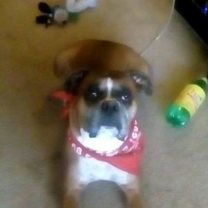 Meet your Posher, Dave